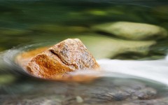 Desktop wallpaper. Nature. ID:28916