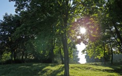 Desktop wallpaper. Nature. ID:28918