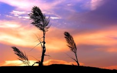Desktop wallpaper. Nature. ID:28919