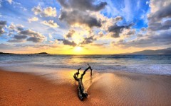 Desktop wallpaper. Nature. ID:28923