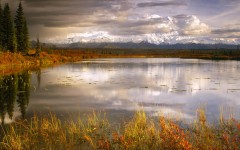 Desktop wallpaper. Nature. ID:28934