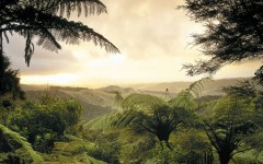 Desktop wallpaper. Nature. ID:28935