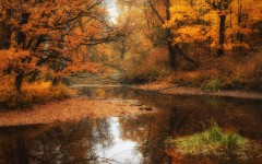 Desktop wallpaper. Nature. ID:28939