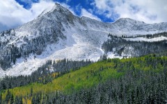 Desktop wallpaper. Nature. ID:28942