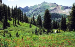 Desktop wallpaper. Nature. ID:28948