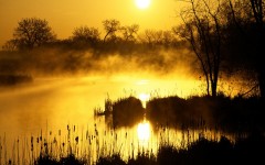 Desktop image. Nature. ID:28950