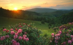 Desktop image. Nature. ID:28951