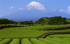 Desktop image. Nature. ID:28959