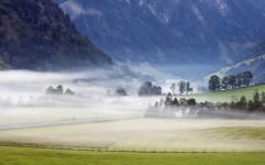 Desktop image. Nature. ID:28960