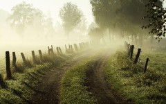 Desktop image. Nature. ID:28962
