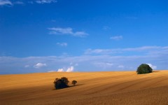 Desktop image. Nature. ID:28964
