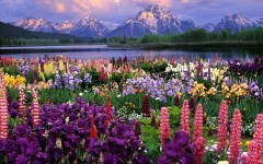 Desktop wallpaper. Nature. ID:28974