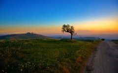 Desktop wallpaper. Nature. ID:28975