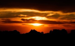 Desktop wallpaper. Nature. ID:28991