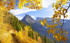 Desktop wallpaper. Nature. ID:28995