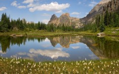 Desktop wallpaper. Nature. ID:29001