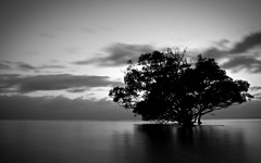 Desktop wallpaper. Nature. ID:29005