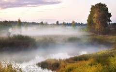 Desktop wallpaper. Nature. ID:29006
