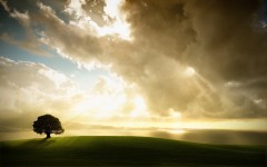 Desktop wallpaper. Nature. ID:29008