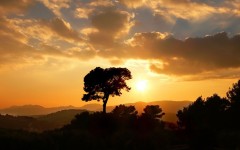 Desktop wallpaper. Nature. ID:29033