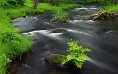 Desktop wallpaper. Nature. ID:29048