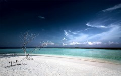 Desktop wallpaper. Nature. ID:29049