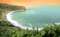 Desktop wallpaper. Nature. ID:29055