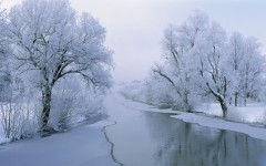 Desktop wallpaper. Nature. ID:29056