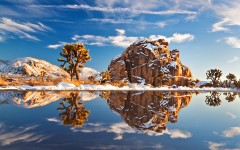 Desktop wallpaper. Nature. ID:29061