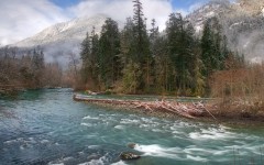 Desktop wallpaper. Nature. ID:29062