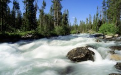 Desktop wallpaper. Nature. ID:29063