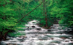 Desktop wallpaper. Nature. ID:29069