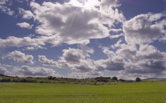 Desktop image. Nature. ID:29073