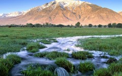 Desktop image. Nature. ID:29074