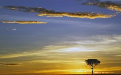 Desktop wallpaper. Nature. ID:29080