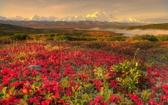 Desktop wallpaper. Nature. ID:29082