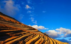 Desktop wallpaper. Nature. ID:29089