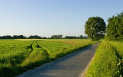 Desktop wallpaper. Nature. ID:29098