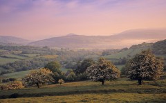 Desktop image. Nature. ID:29111