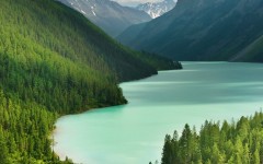 Desktop image. Nature. ID:29112