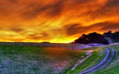 Desktop image. Nature. ID:29116