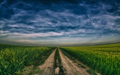 Desktop image. Nature. ID:29122