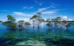 Desktop image. Nature. ID:29123
