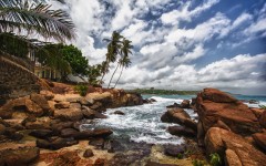 Desktop wallpaper. Nature. ID:50216