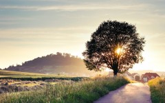 Desktop wallpaper. Nature. ID:29132