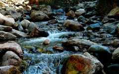 Desktop wallpaper. Nature. ID:29135