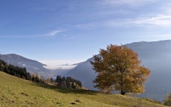Desktop wallpaper. Nature. ID:29141
