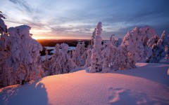 Desktop wallpaper. Nature. ID:29156