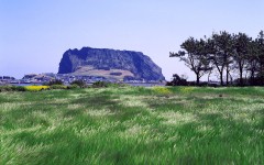 Desktop wallpaper. Nature. ID:29157