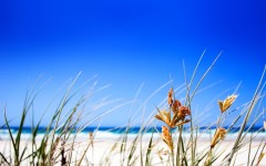 Desktop wallpaper. Nature. ID:29162